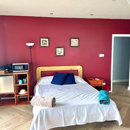 Shkyblue Suites クライストチャーチ エクステリア 写真